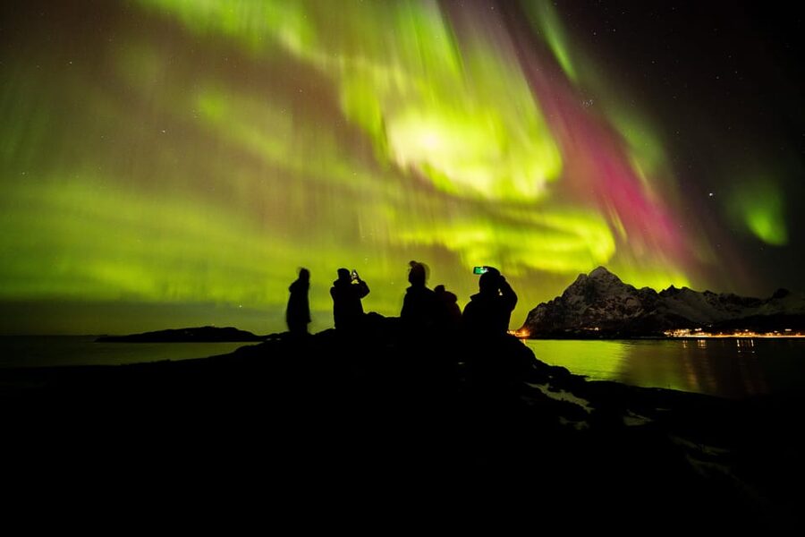 Lofoten: The Aurora Jæger – Northern Lights Hunt with Local - Key points at a glance
