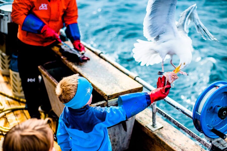 Lofoten: Traditional Fishing Trip - Catching, filleting, and taking fish home