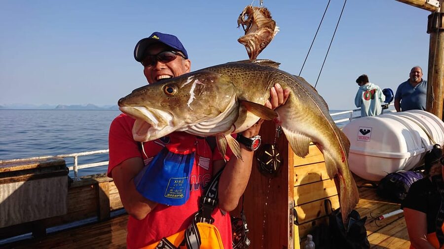 Lofoten: Traditional Fishing Trip - Booking flexibility and practical planning