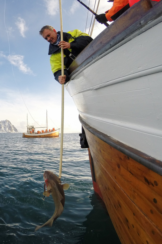 Lofoten: Traditional Fishing Trip - Four hours of fishing, stories, and sea air