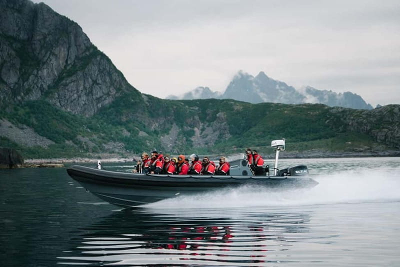 Lofoten: Trollfjord Sea Eagle Safari by RIB Boat - The essential points before you book