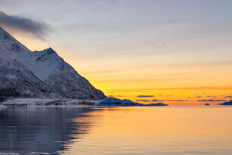 Lofoten: Trollfjord Sea Eagle Safari by RIB Boat - Is $97 a fair price for two hours?
