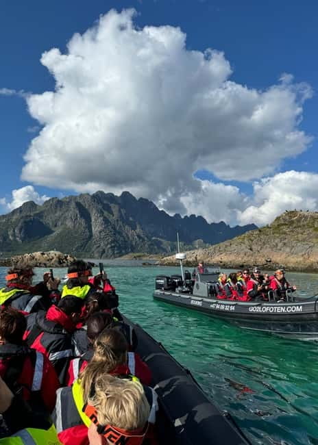 Lofoten: Trollfjord Sea Eagle Safari by RIB Boat - Practical advice for a smoother outing