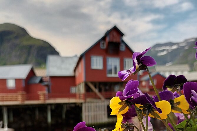Lofoten VIP PRIVATE Tour from Leknes city / port - Haukland Beach: white sand beneath steep mountains