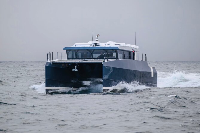 Luxury Whale Watching From Tromso - Small group and local guide - Food, drinks, and the luxury question
