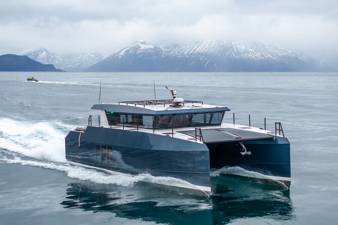 Luxury Whale Watching From Tromso - Small group and local guide - Is $1,439.34 a fair price?