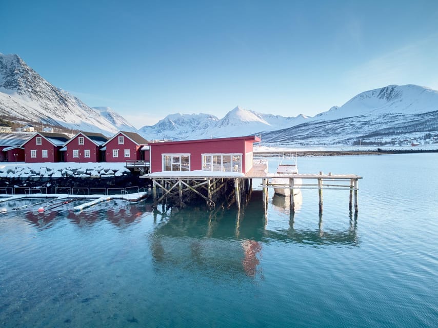 Lyngen: Snowmobile Safari with Lunch in seaside Restaurant - Who will enjoy this most