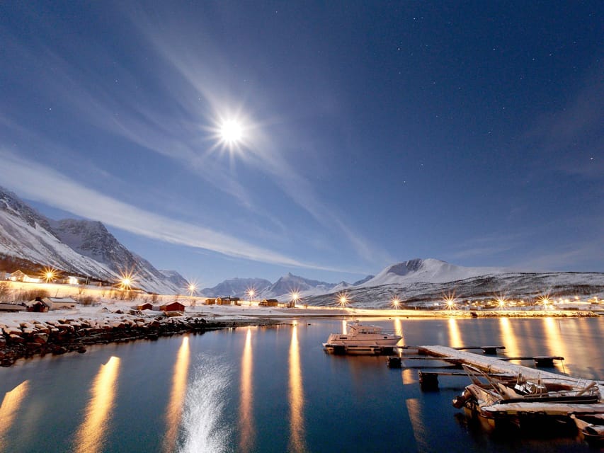 Lyngenalps: Northern Lights Snowmobile Safari - Key points to know before booking
