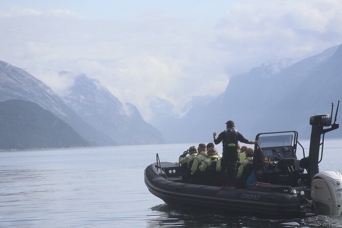 Lysefjord RIB Safari from Stavanger - Key points to know before you book