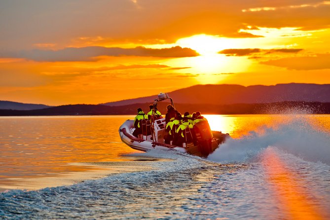 Lysefjord RIB Safari from Stavanger - Speed, music, and the feel of the boat