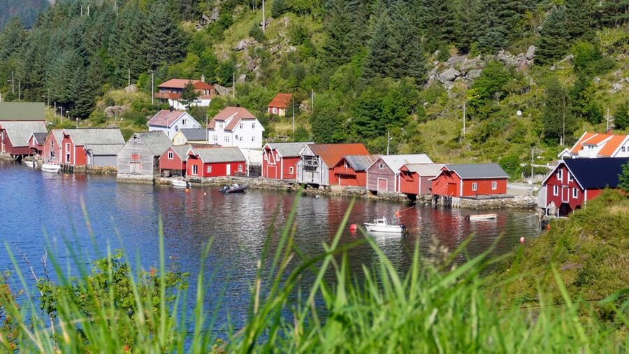 Måløy: Electric Minibus Tour to Kannesteinen - Should you book the Kannesteinen minibus tour?