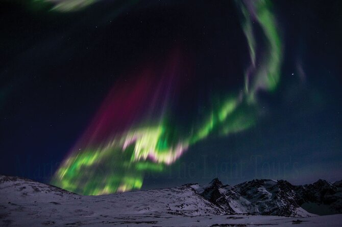 Marianne’s Heaven On Earth Aurora Chaser Tours - Staying warm between sightings