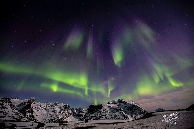 Marianne’s Heaven On Earth Aurora Chaser Tours - What the $291.52 price includes