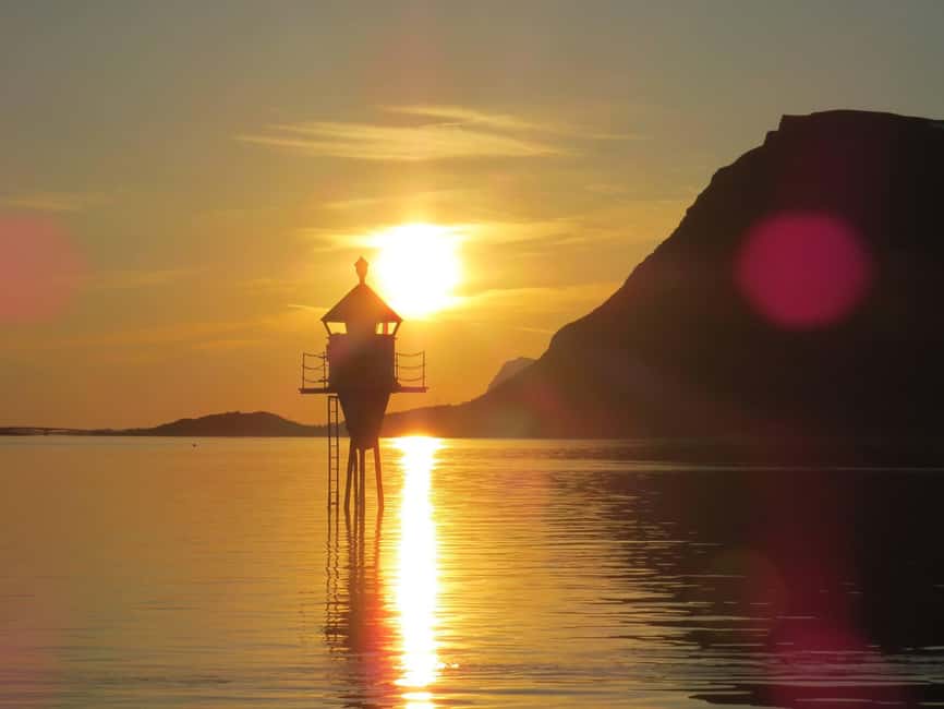 Midnight sun safari - Key points to know before you book