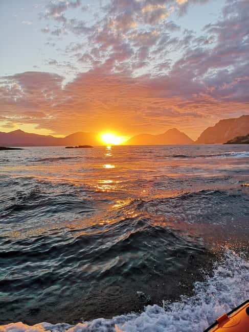 Midnight sun safari - Why the midnight sun changes the whole trip