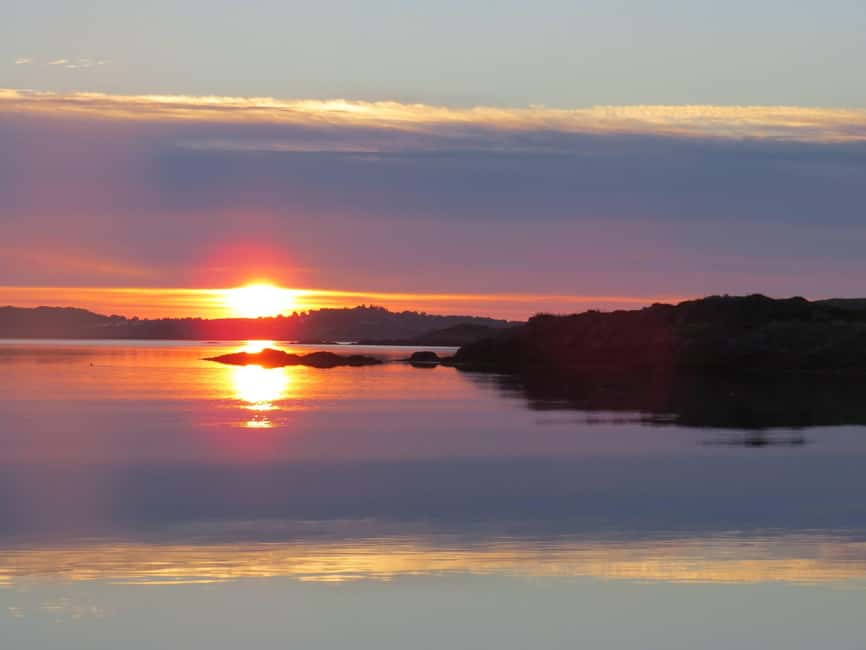 Midnight sun safari - Searching for sea eagles, seals, puffins, and whales