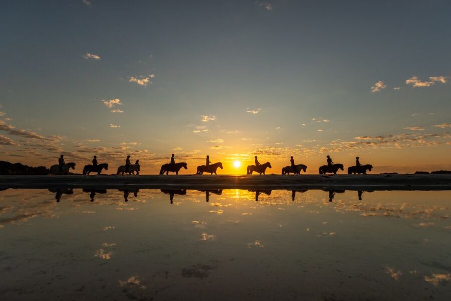Midnight sun tour - Key points to know before booking