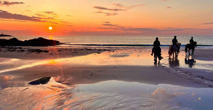 Midnight sun tour - Why Gimsøya is a fine place for the midnight sun