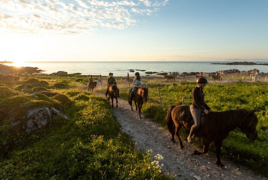 Midnight sun tour - Timing, clothing, and weather planning