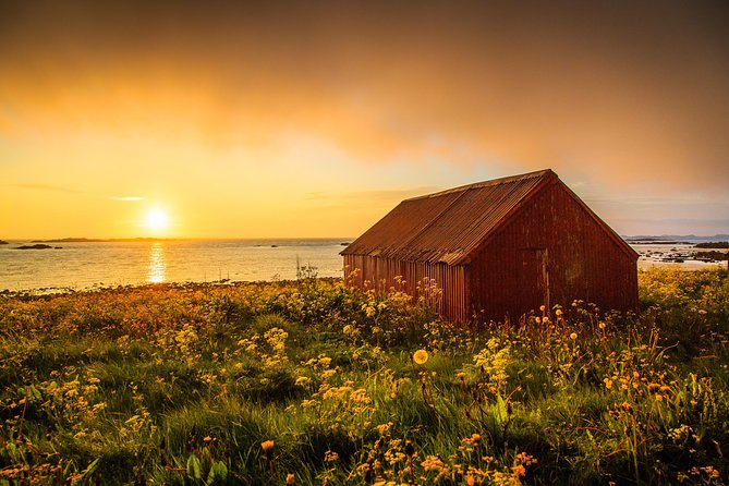 Midnight sun tour with a photographer - Key points to know before booking