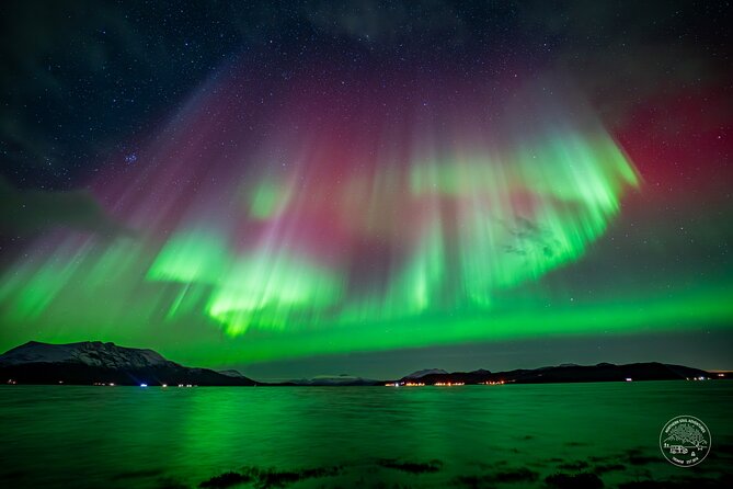Minibus Northern Lights Chase with Photography from Tromsø - Quick facts about the Tromsø aurora chase
