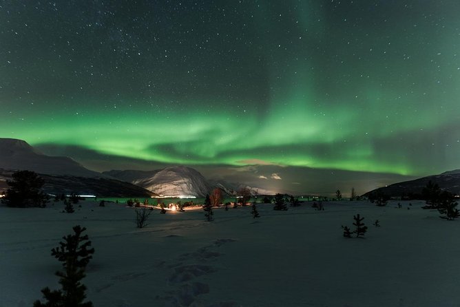 Minibus Northern Lights Chase with Photography from Tromsø - Price, time, and who gets the best value