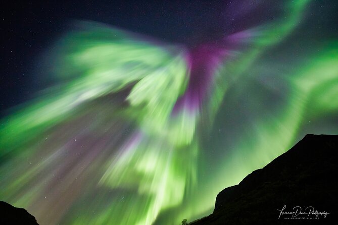 Minivan Northern Lights excursion (8 guests per minivan) - Why a small minivan matters at night