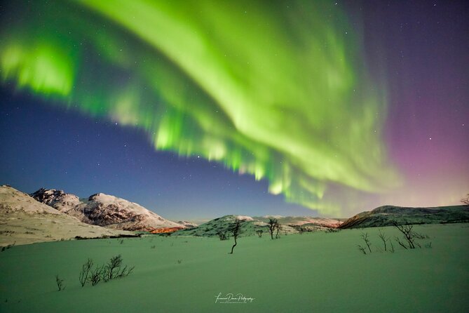 Minivan Northern Lights excursion (8 guests per minivan) - Skibotn and the road toward Finland