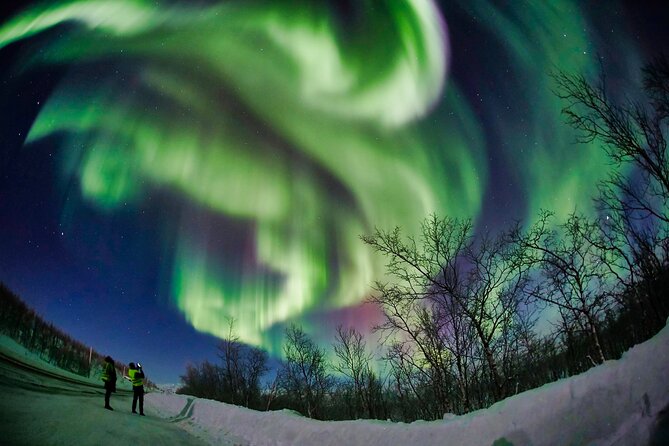 Minivan Northern Lights excursion (8 guests per minivan) - Pyhäouta and Keinovuopio: farther routes for serious chasers