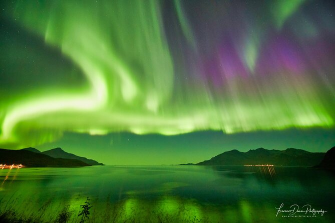 Minivan Northern Lights excursion (8 guests per minivan) - Photography help without bringing a camera