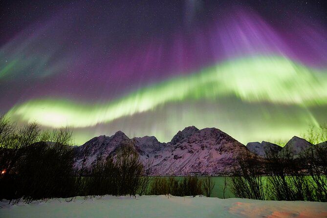 Minivan Northern Lights excursion (8 guests per minivan) - Warm suits, boots, drinks, and outdoor comfort