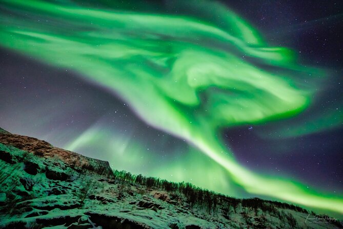 Minivan Northern Lights excursion (8 guests per minivan) - Is $204.51 a fair price?