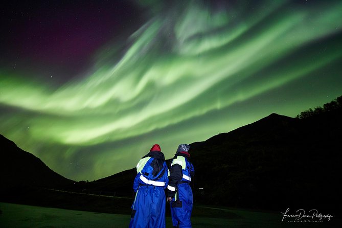 Minivan Northern Lights excursion (8 guests per minivan) - Hansnes and Sommarøy: coastal viewing with changing conditions