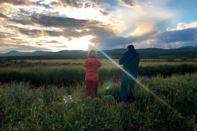 Moose Safari │ Dovre & Lesja Aktiv