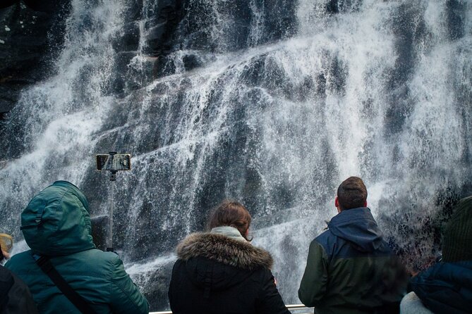 Mostraumen Fjord Cruise - the local operator - Is $80.69 a Fair Price?