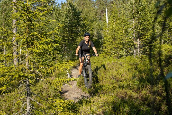 Mountain Bike - Voss Storålsen - Key points before you book
