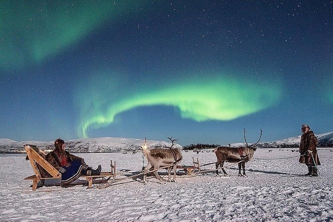 Night Reindeer Sledding with Camp Dinner and Chance of Northern Lights - Key points to know before booking