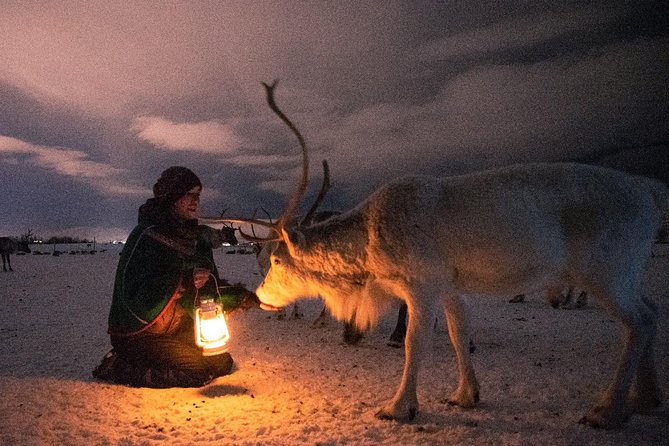 Night Reindeer Sledding with Camp Dinner and Chance of Northern Lights - Sámi stories, history, and joiking