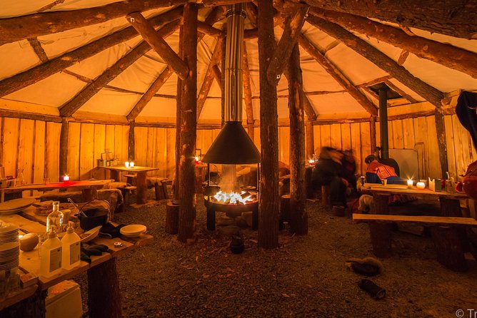 Night Reindeer Sledding with Camp Dinner and Chance of Northern Lights - Feeding reindeer among a herd of 300