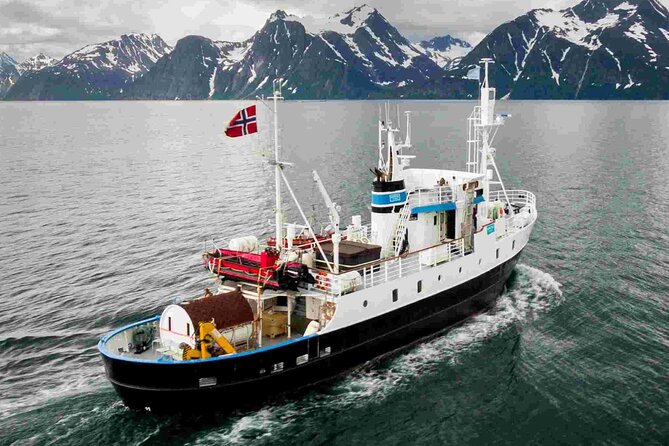 Northern Light cruise on the vintage vessel MS Strønstad - Weather, delays, and the realistic risk of disappointment