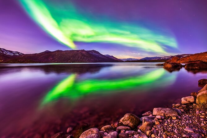 Northern light hunt in Tromsø. WiFi included - Price and value at $182 per person