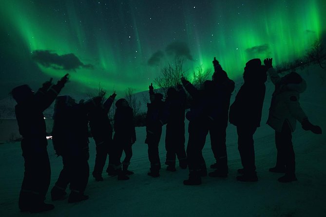 Northern Lights Big Bus Chase with Chasing Lights - The chase can take you far from Tromsø