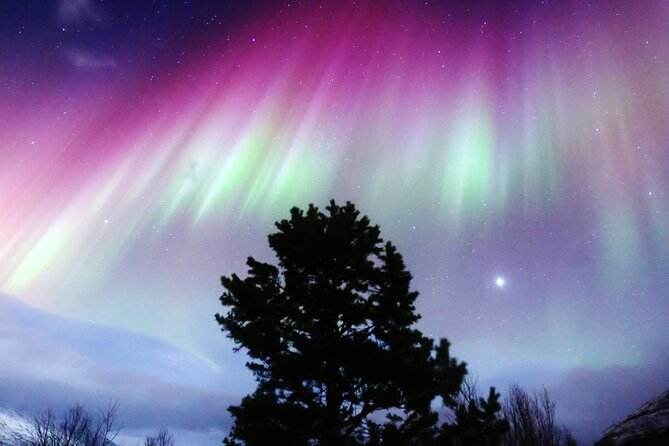 Northern Lights Big Bus Chase with Free Photos - Key points to know before you book