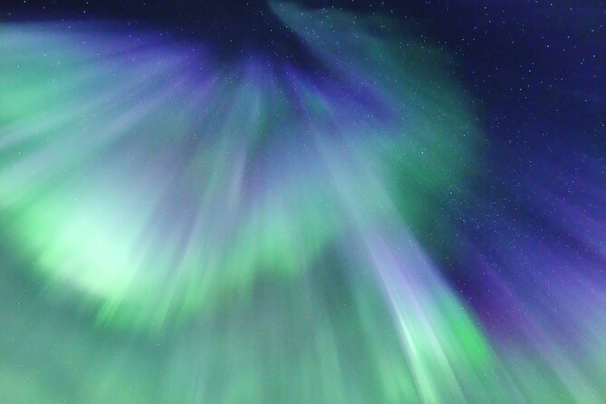 Northern Lights Big Bus Chase with Free Photos - The real value of $118.77