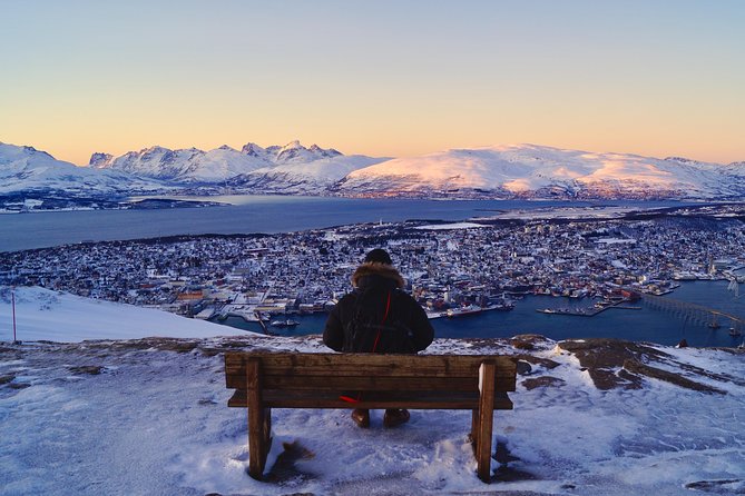 Northern lights cable car excursion - What happens at Fjellstua Café and Restaurant