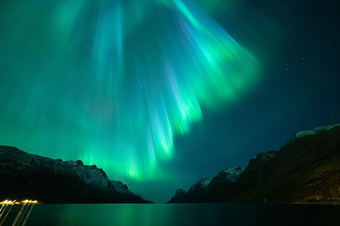Northern Lights Chase by Bus in Tromso - Leaving central Tromsø at 6 p.m.