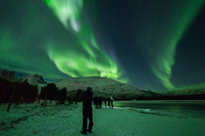 Northern Lights Chase by Bus in Tromso - Watching the northern lights in real conditions