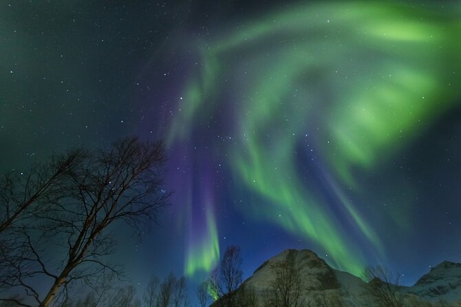 Northern Lights Chase by Bus in Tromso - Guides, information, and the photography setup