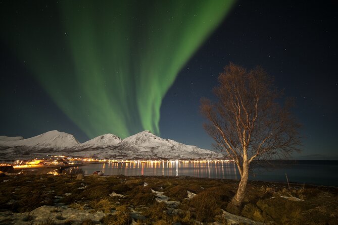 Northern Lights Chase by Bus in Tromso - Who should choose this Tromsø aurora chase?