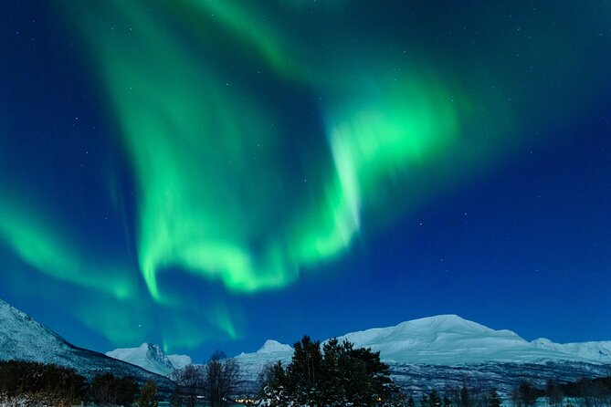 Northern Lights Chase by Bus in Tromso - What the bus ride adds, and what it cannot fix